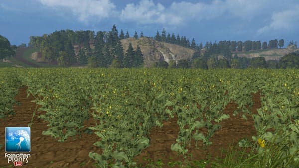 Forgotten Rape Plants [SP] 3