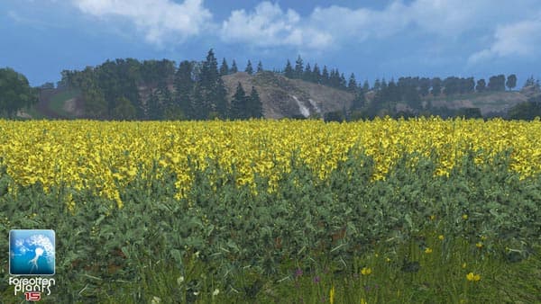 Forgotten Rape Plants [SP] 2