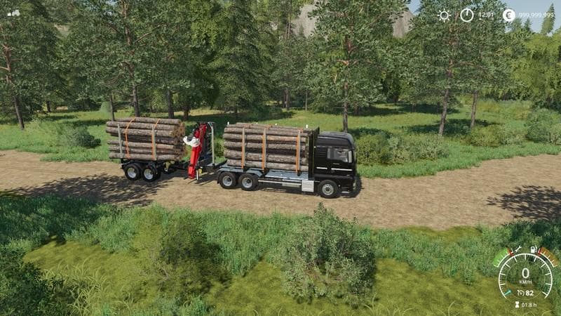 Forst Dolly 2