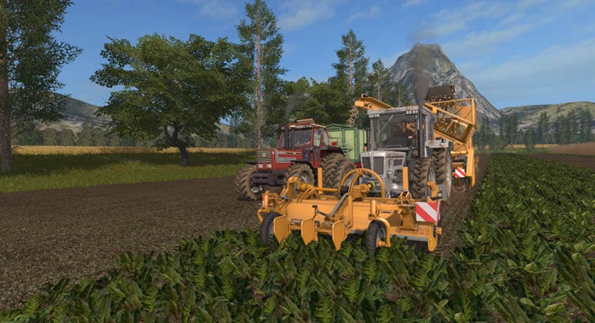 Franz Small beet pack [MP] 2