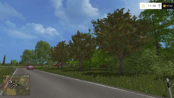 Fruit and berries [MP]