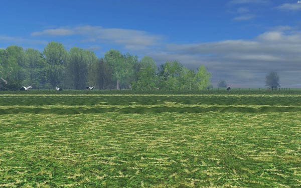 GRASS SOIL TEXTURE [SP] 2