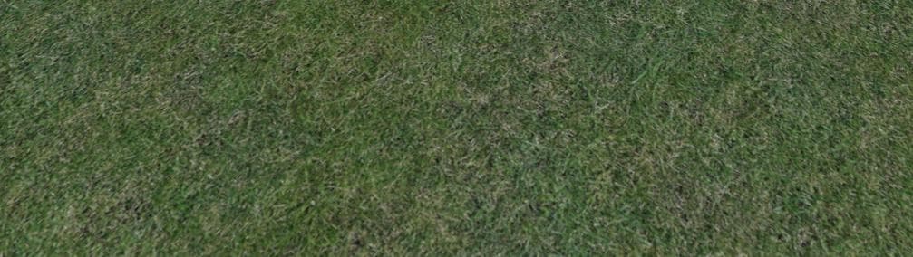 GRASS TEXTURE