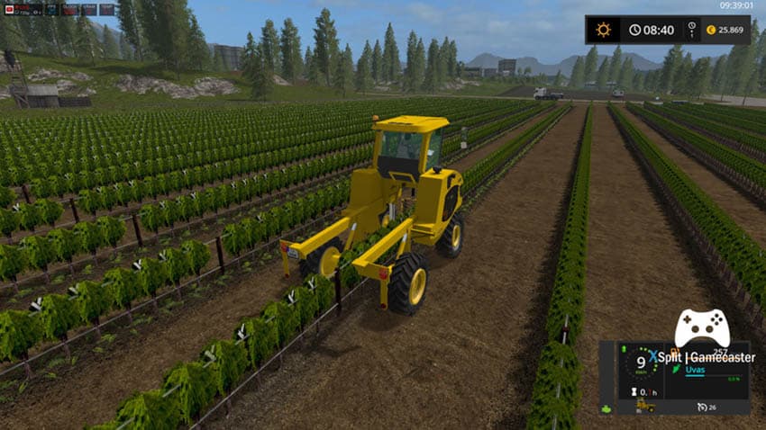 GREGOIRE G8.260 [MP]