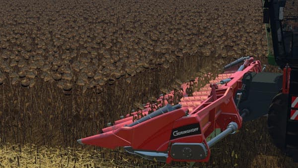 Geringhoff maize header [MP] 2