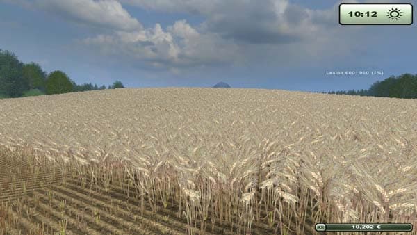 Gerstentextur [SP]