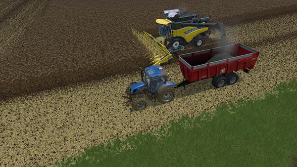 Gilibert 1800 [MP] 3