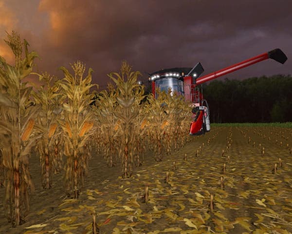 Gold Maize Textures [SP]