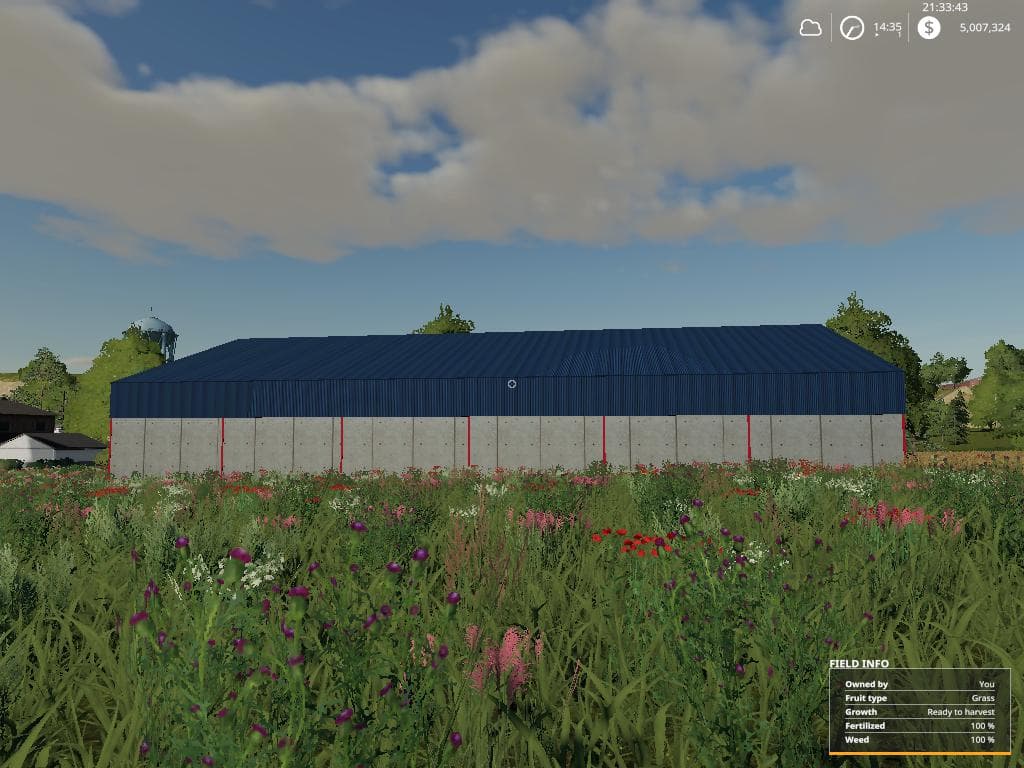 Grain storage shed