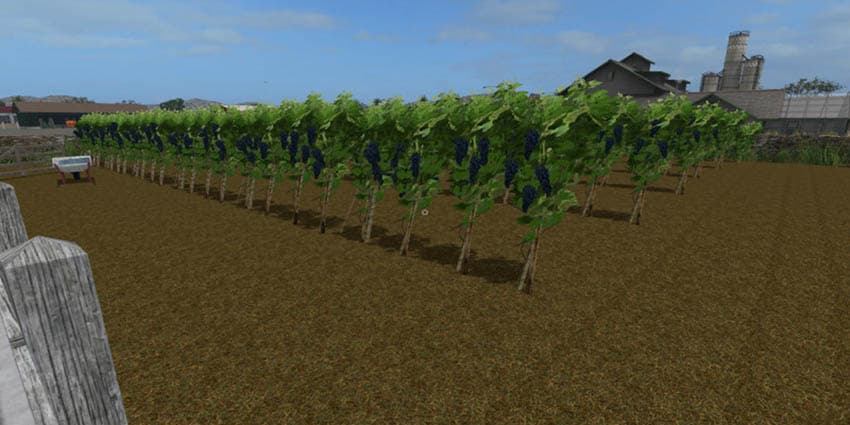 Grape Farm Placeable [SP]