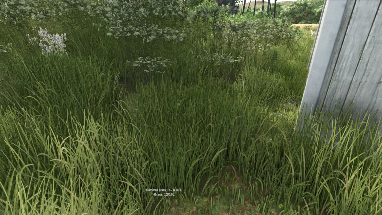 Grass Collection 4