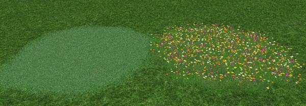 Grass Texture Pack [SP]