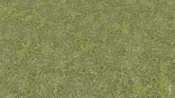 Grass Windrow Texture