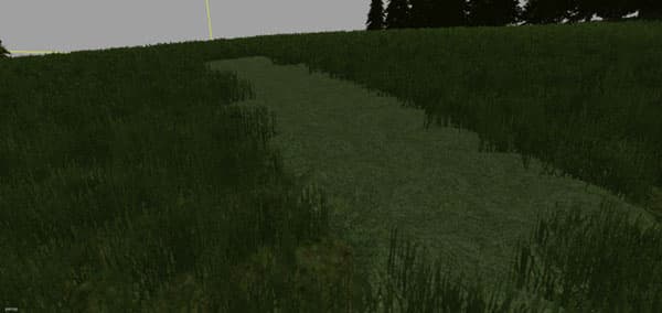Grass texture
