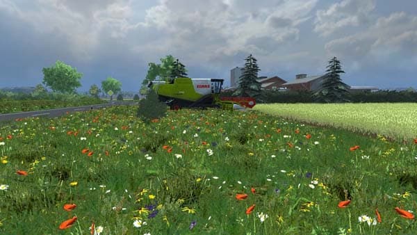 Grass texture summer meadow [SP]