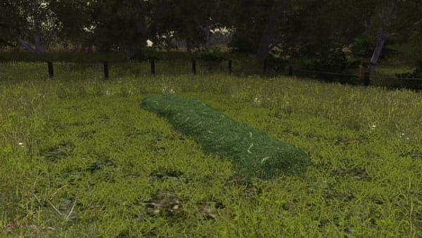 Grass texture [SP]