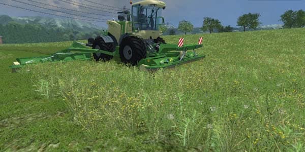 Grass texture [SP] 2