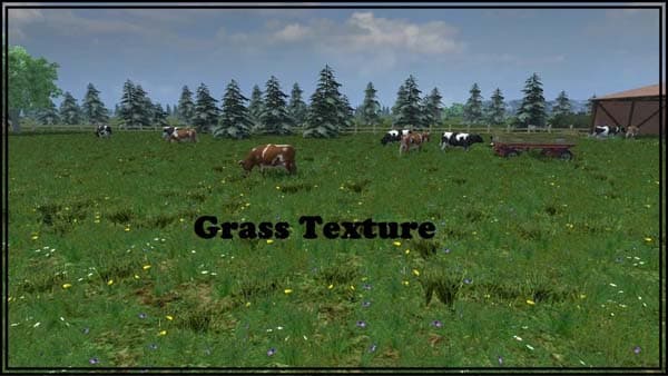 Grass texture [SP]
