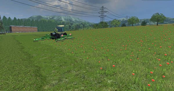 Grass texture [SP]