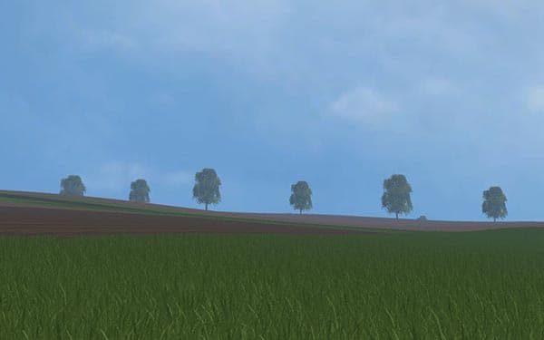 Grass without flowers [SP] 2