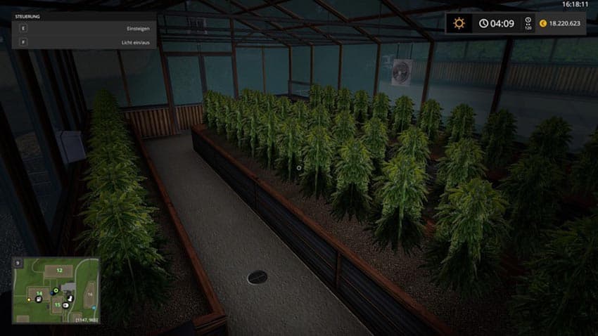 Greenhouse hemp [MP] 2
