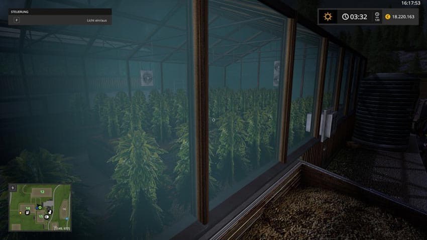 Greenhouse hemp [MP]