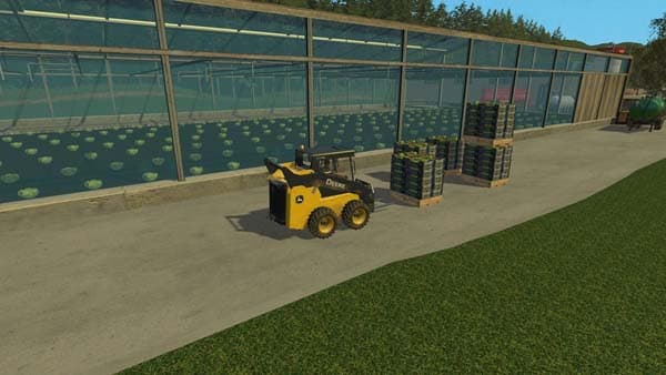 Greenhouse salad [MP] 2