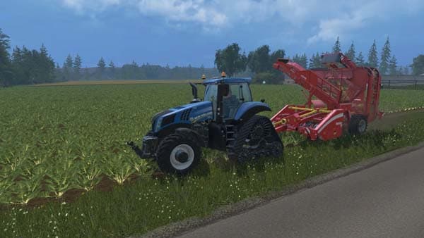 Grimme Rootster 604 [MP] 2