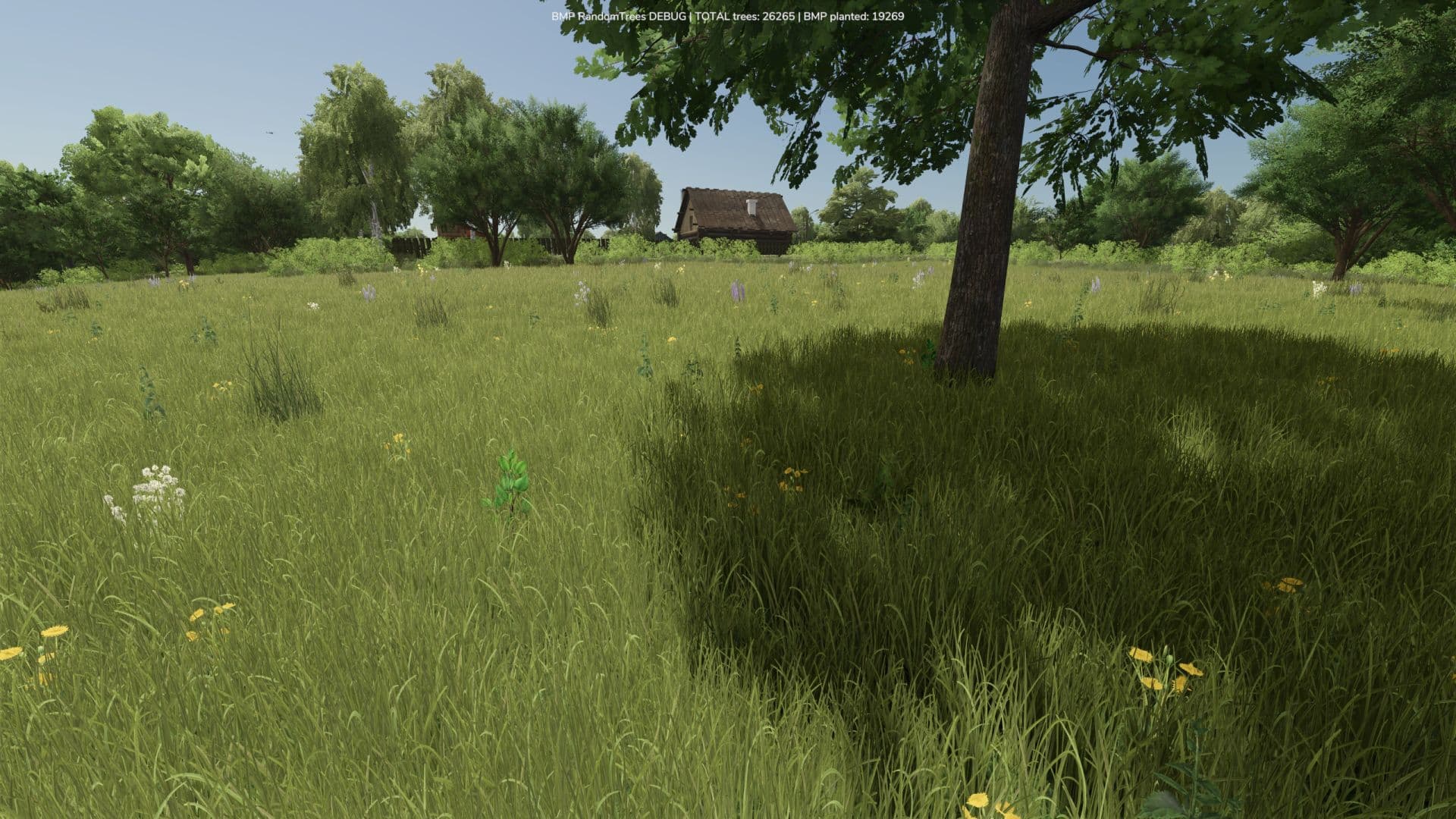 Growing Random Trees 4