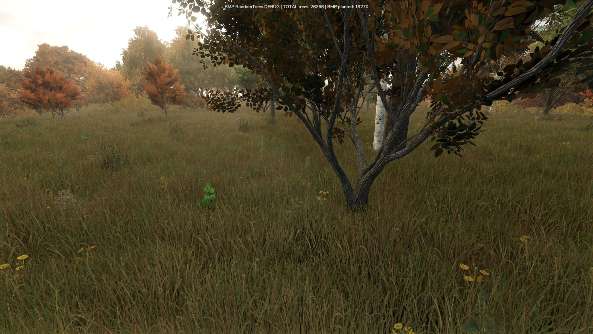 Growing Random Trees 3