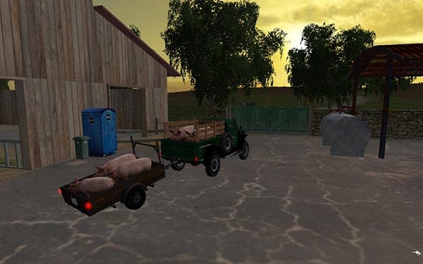 Grunting pigs [SP] 3