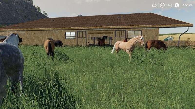 HORSE stable WITH BOXES 3