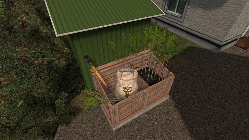 Hand Plant Saplings 3
