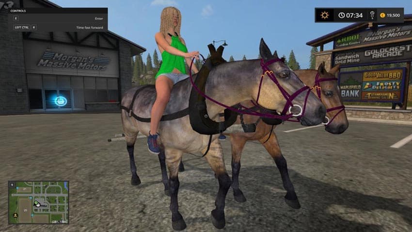 Hard Working Horses [MP] 3