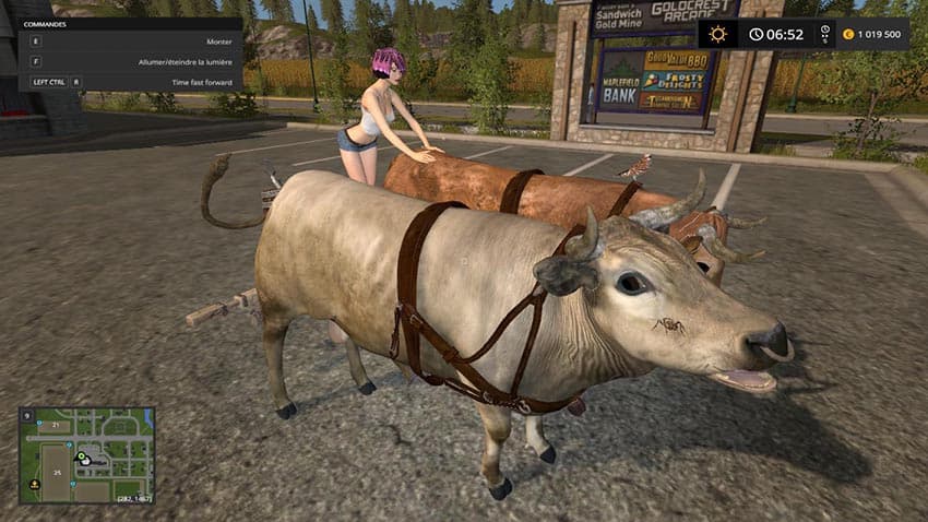 Hard Working oxen 3