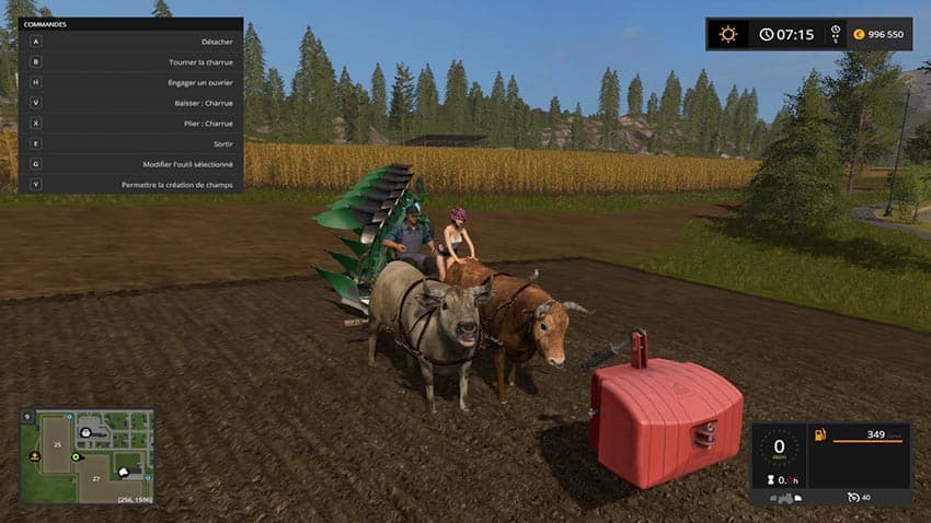 Hard Working oxen