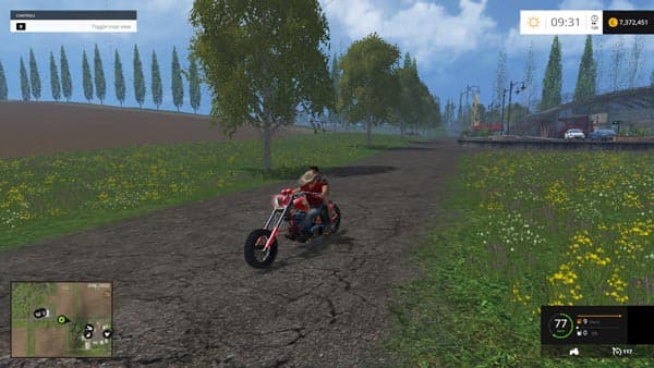 Harley Superpat Beta