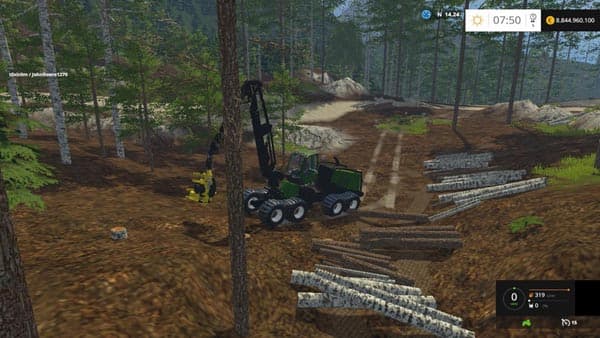 Harvester Birch trees [MP] 2