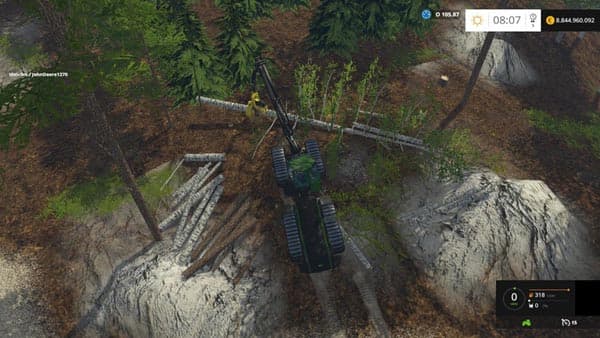 Harvester Birch trees [MP]