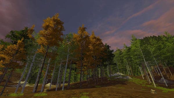 Harvester Larch [MP] 3