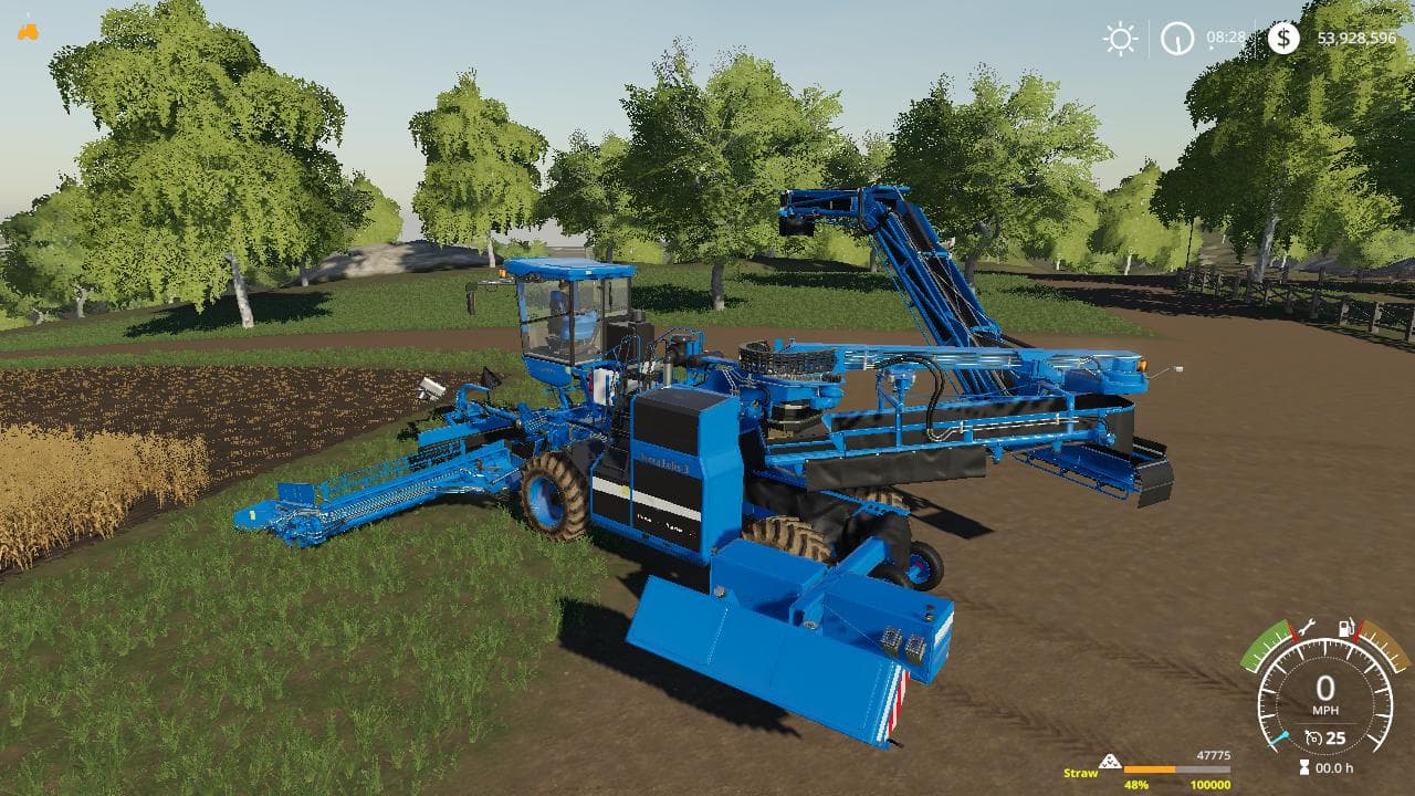 Holmer Terra Felis