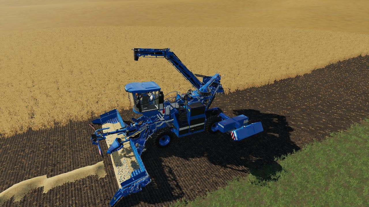 Holmer Terra Felis 2