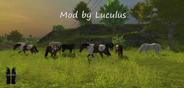 Horses [MP] 2