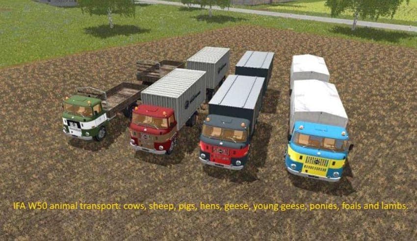 IFA W50 Animal Transport Ext 3