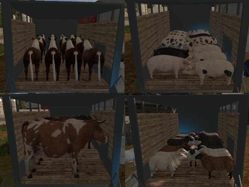 IFA W50 Animal Transport Ext 2