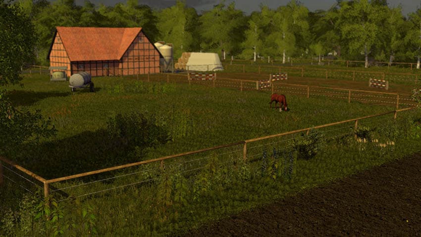 Kaues Kamp [SP] 4