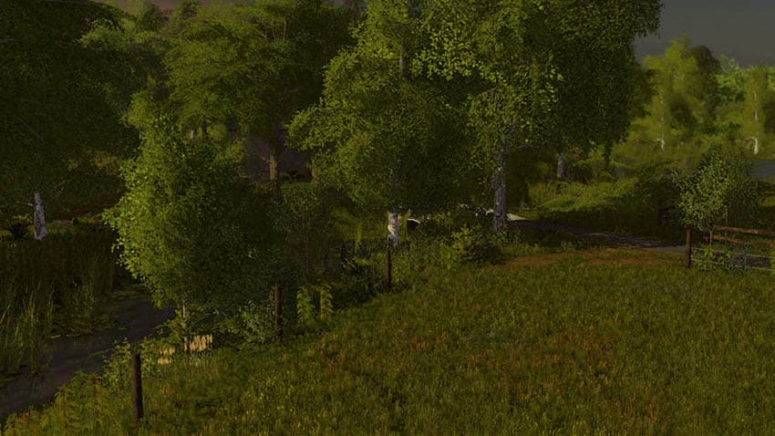 Kaues Kamp [SP] 2
