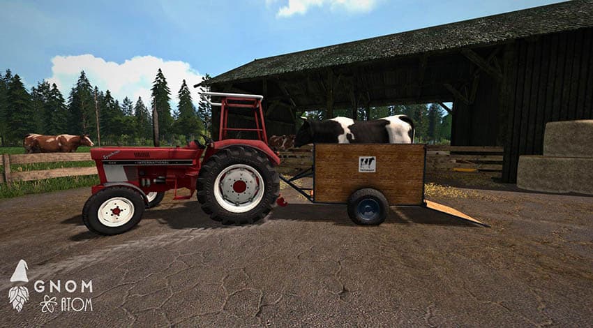Kleiner Tiertransporter 3