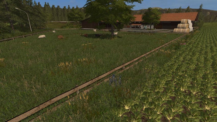 Kleinseelheim [SP] 2