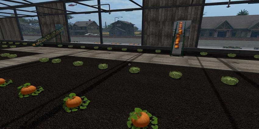 Lettuce GreenHouse 2